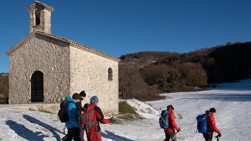 Faggio di San Francesco, Rivoduti -&nbsp; RI (Fabrizio Ardito)
