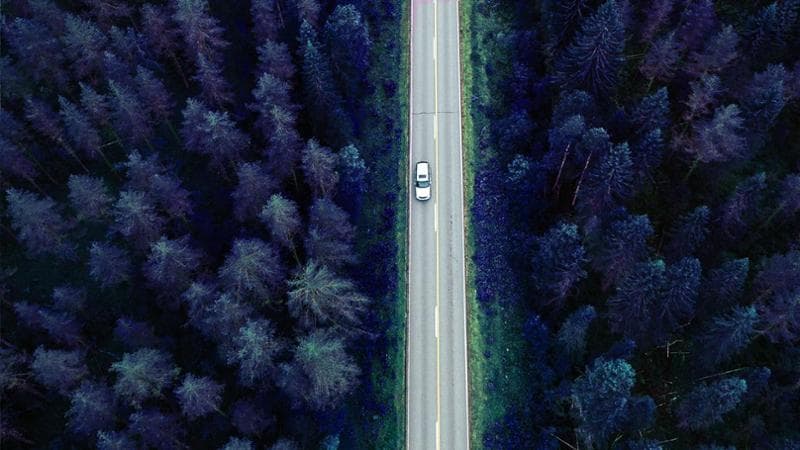 La strada blu