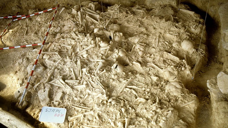 Gli scheletri ritrovati nella grotta di San Juan
