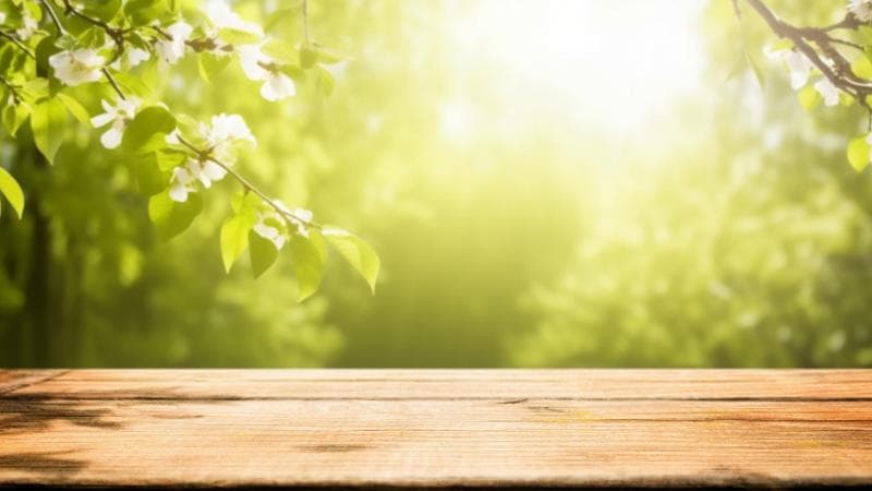 Filiera del legno: riciclabilità e meno imballaggi tra le azioni più intraprese sul fronte sostenibilità
