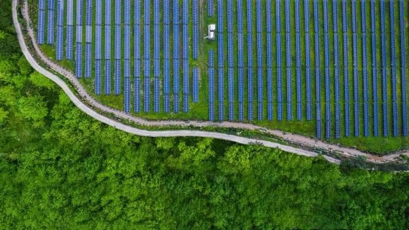Un campo di pannelli fotovoltaici
