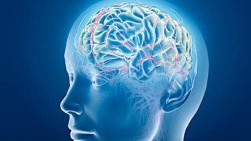 Come usiamo il cervello