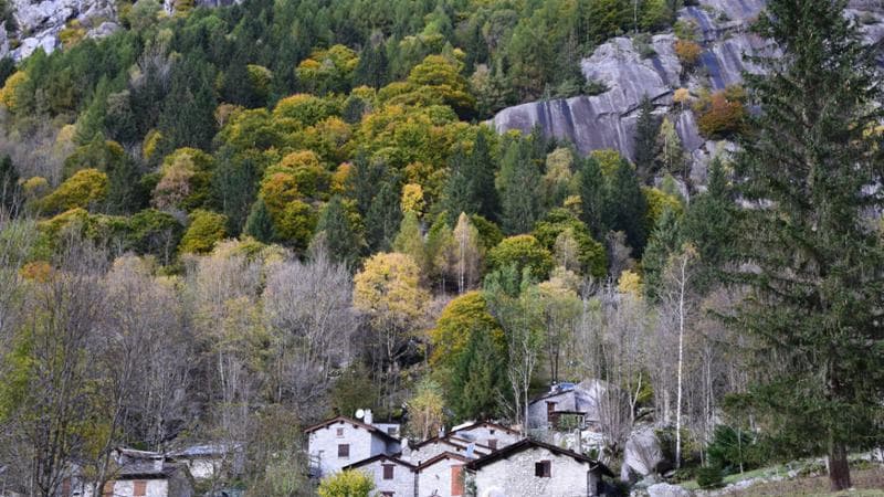 Riserva naturale Val di Mello
