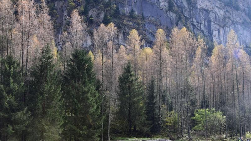 Riserva naturale Val di Mello
