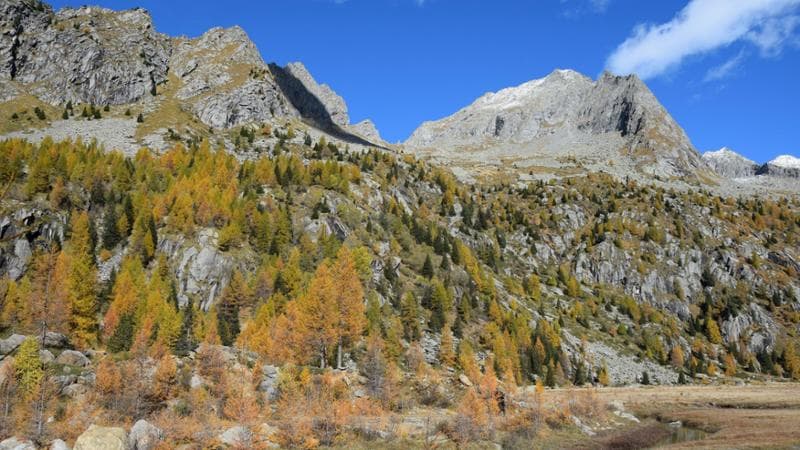 Valle di Predarossa
