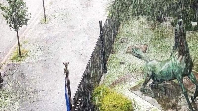 IL CAVALLO DI VIALE MAZZINI, SEDE DELLA RAI
