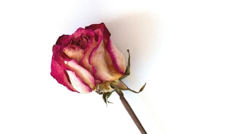 I diritti delle donne e l’ottusità dei grandi uomini