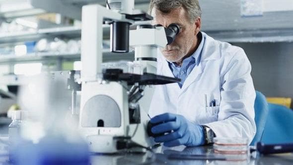 Aumentano le esportazioni dei poli tecnologici del Lazio