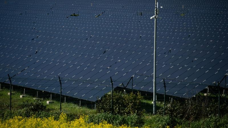 Investimenti solo se redditizi: così Cattaneo dà la scossa all’Enel