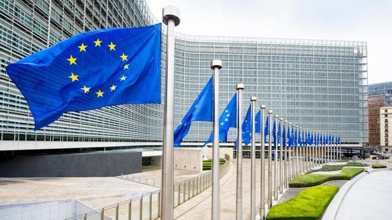 LA COMMISSIONE UE
