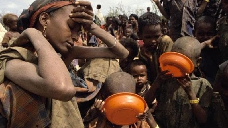 Crisi alimentare, la fame è drammatica in 43 Paesi: nessun progresso dal 2015 e sempre più persone sono malnutrite: 735 milioni, le prime vittime sono i giovani
