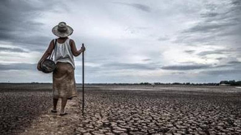 Clima che cambia: il 90% degli italiani pensa che sia una grave minaccia per la salute globale, l’indagine in occasione della Cop 28 di Dubai