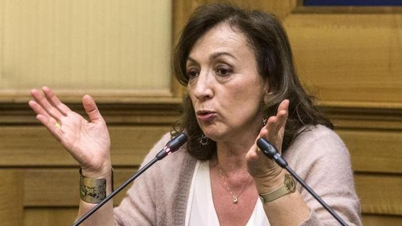 Primarie accantonate, Zampa: “No a un Pd vecchio e logoro che decide i candidati in una stanza. Schlein dovrebbe spiegare”