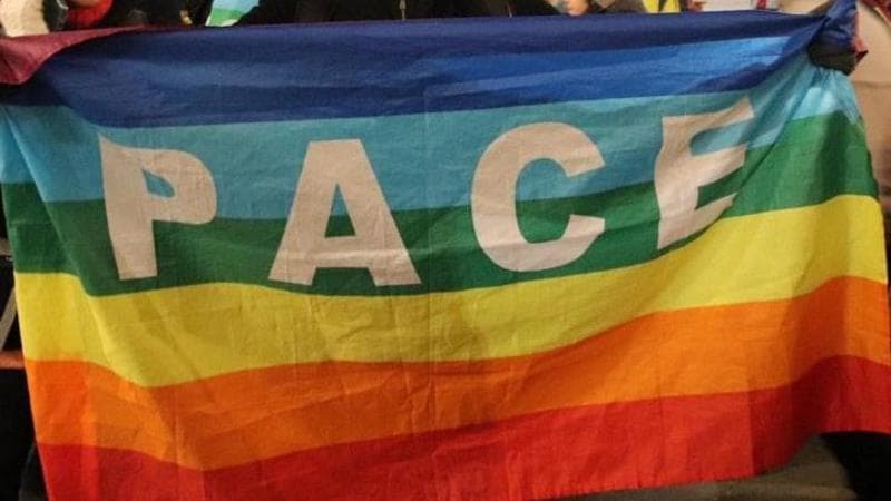 Seconda marcia della pace ad Assisi, Schlein in piazza: "Immediato cessate il fuoco umanitario in Medio Oriente". Sfilano anche Cgil e Anpi