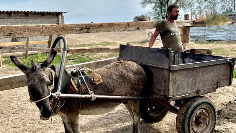 Un pastore della comunit&agrave; kirghisa
