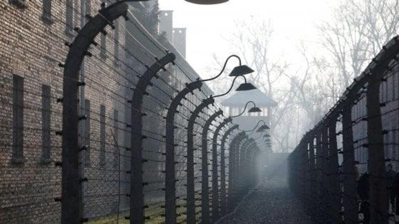L’oblio della Shoah: per un giovane americano su cinque l’Olocausto non è mai esistito