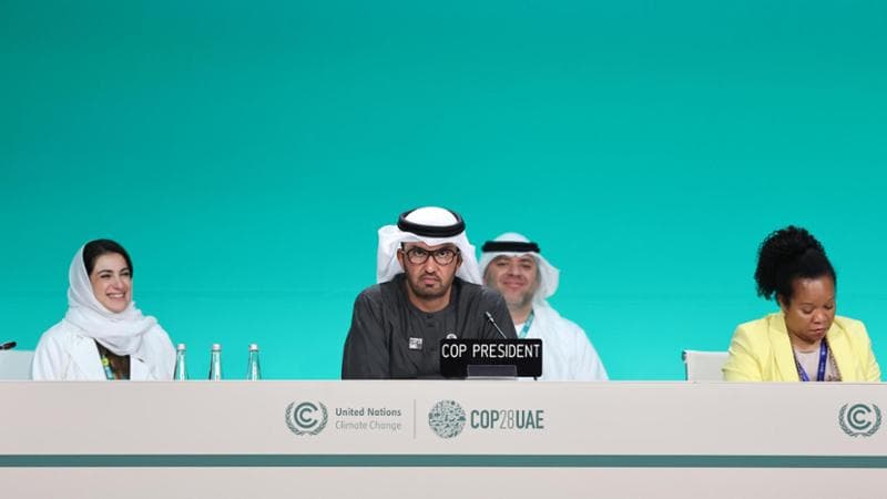 Cop28, l’intervista alla capodelegazione di Greenpeace: “Non si combatte così la crisi climatica”