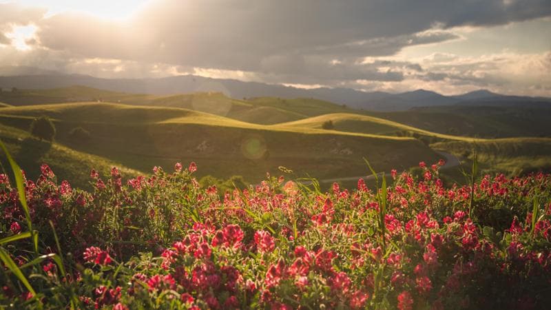 Campagna materana, archivio Apt Basilicata
