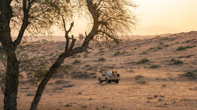 Deserto Al Wadi
