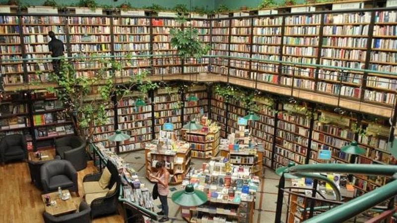 L’anno che fece rinascere il romanzo