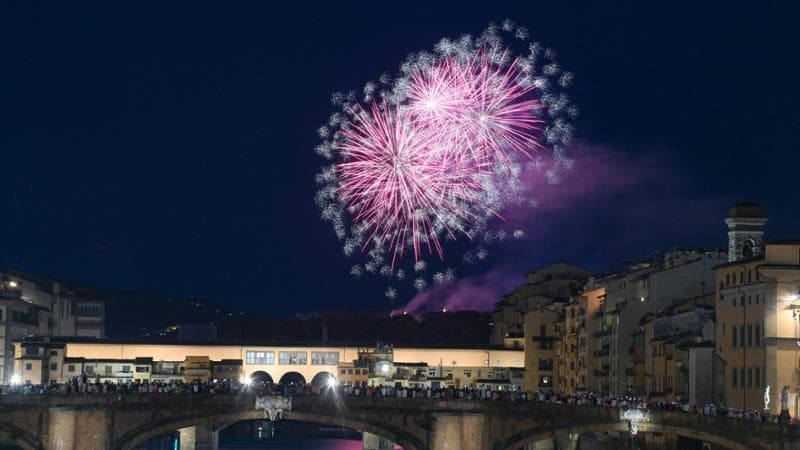 I rischi dei botti di Capodanno per ambiente e fauna: “In Italia ogni anno 5.000 animali muoiono a causa dei fuochi”