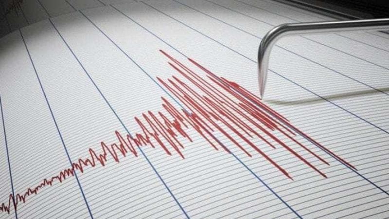 La magnitudo, le scale Richter e Mercalli: cosa significa 7.5 per il terremoto in Giappone