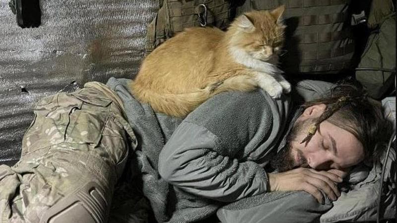 Ucraina in lacrime per Maxim, il poeta soldato ucciso in trincea con il suo gatto