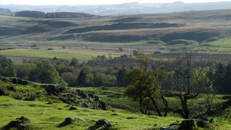 Pale eoliche nella brughiera di 'Cime tempestose': “Distruggeranno il panorama delle sorelle Brontë”