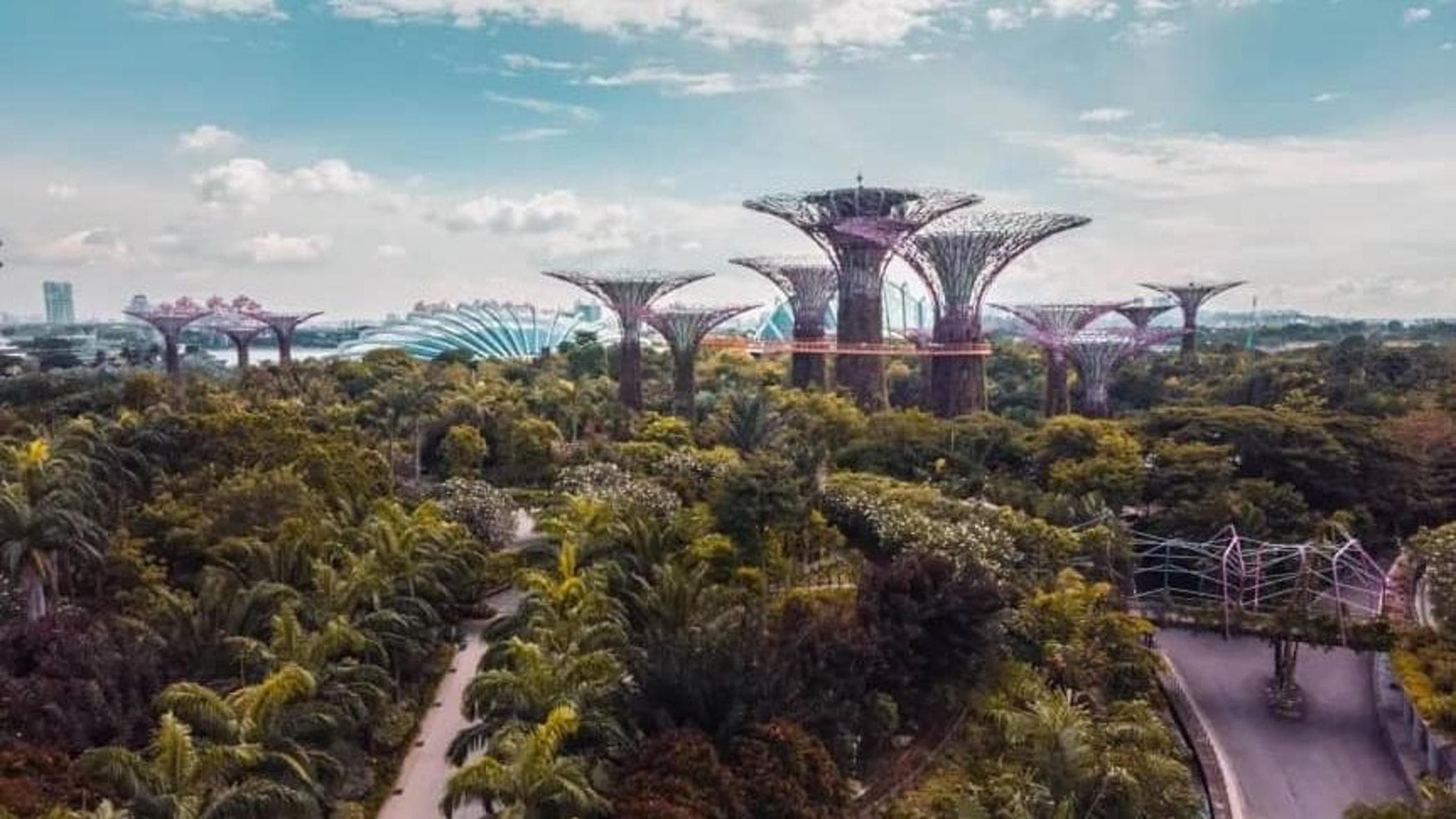 2060'ta yaşamak: Okullar için iklim değişikliğine ilişkin kapsamlı eğitim yolu, olası senaryolar ve çözümlerle başlıyor