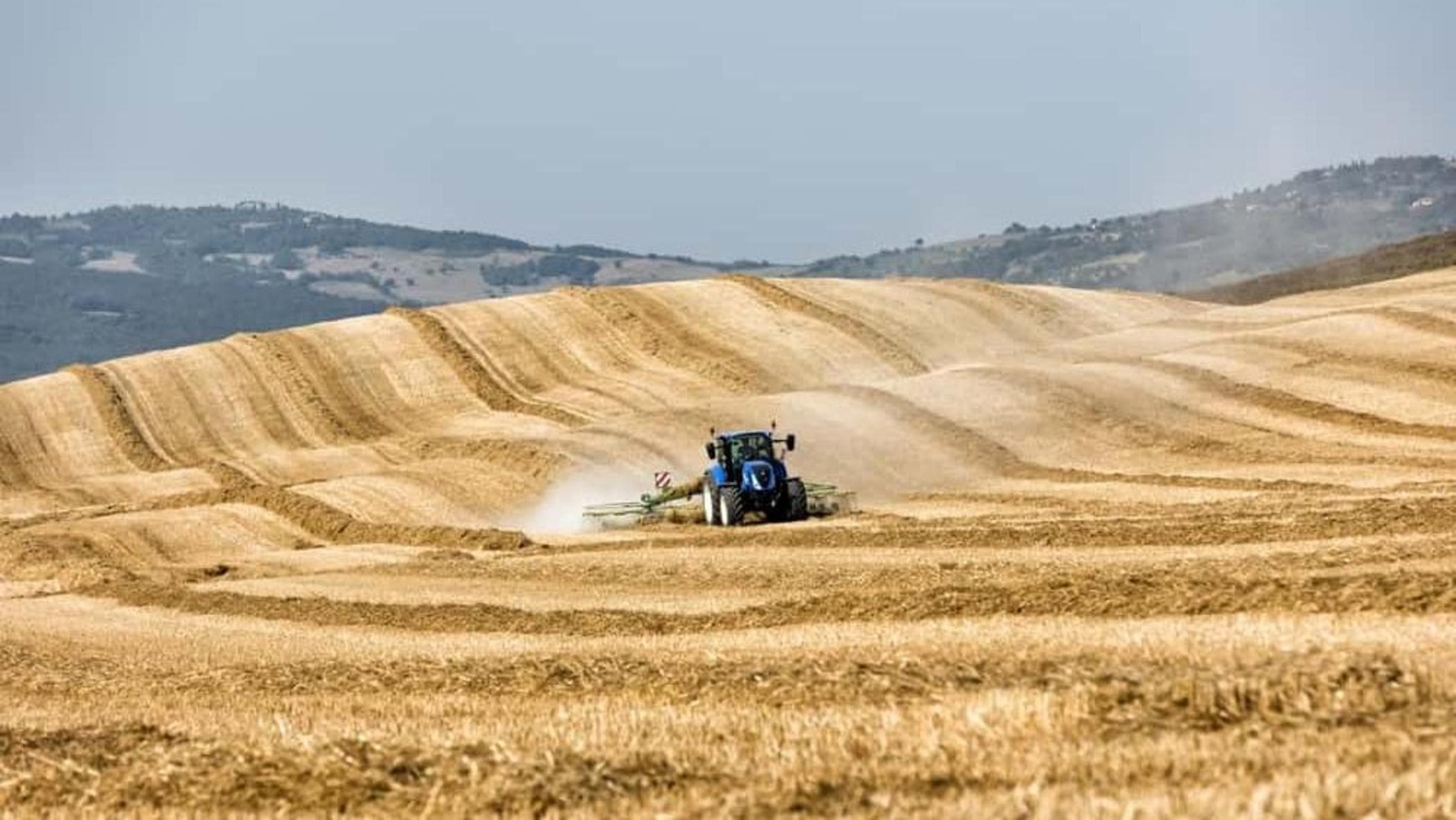 Erozyon ve organik karbon eksikliği: İtalya topraklarının yarısı sağlıksız durumda