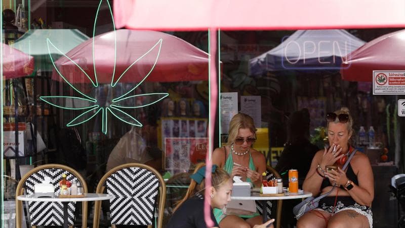 La Thailandia fa marcia indietro sulla cannabis: il governo vuole vietarne l’uso ricreativo