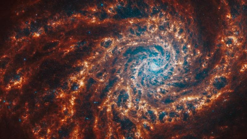 Le 19 nuove galassie a spirale: le sorprendenti immagini immortalate dal telescopio Webb