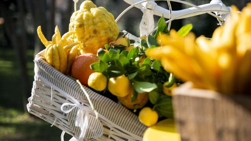 Nella villa di Portaluppi gli agrumi diventano arredi: il fine settimana del FAI alla scoperta dei colori, e del gusto, del Mediterraneo