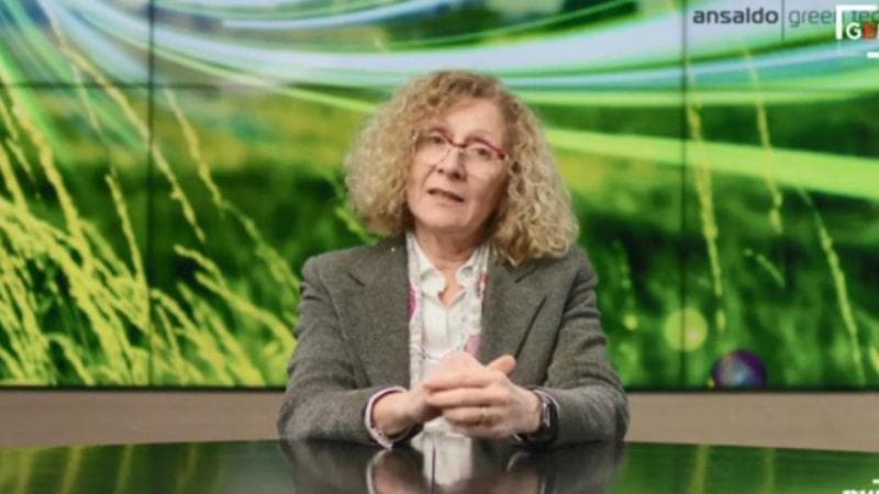 Gentile: "Collaborazione tra grandi e piccole aziende per evitare di disperdere i fondi in micro progetti"