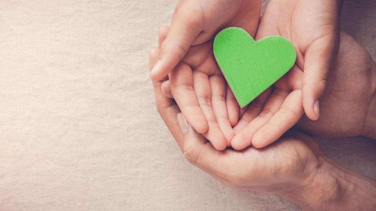 Producono a prova di sostenibilità: ecco i brand certificati "green star"