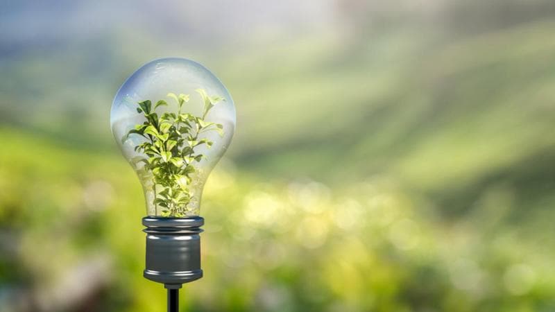 Sostenibilità: Enel, Intesa e Acea virtuosi per scelta