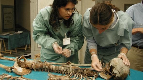 Senza pace. Le tribolazioni dei Medici e delle loro tombe
