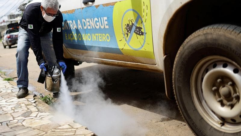 Allarme Dengue: in Italia controlli in porti e aeroporti