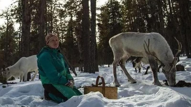 Maledetto dálkkádatrievdan: così in Nord Europa il cambiamento climatico sta cancellando la lingua della Lapponia