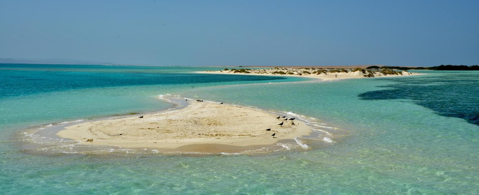 Parco marino Wadi el Gemal. Foto Gianni Bodini
