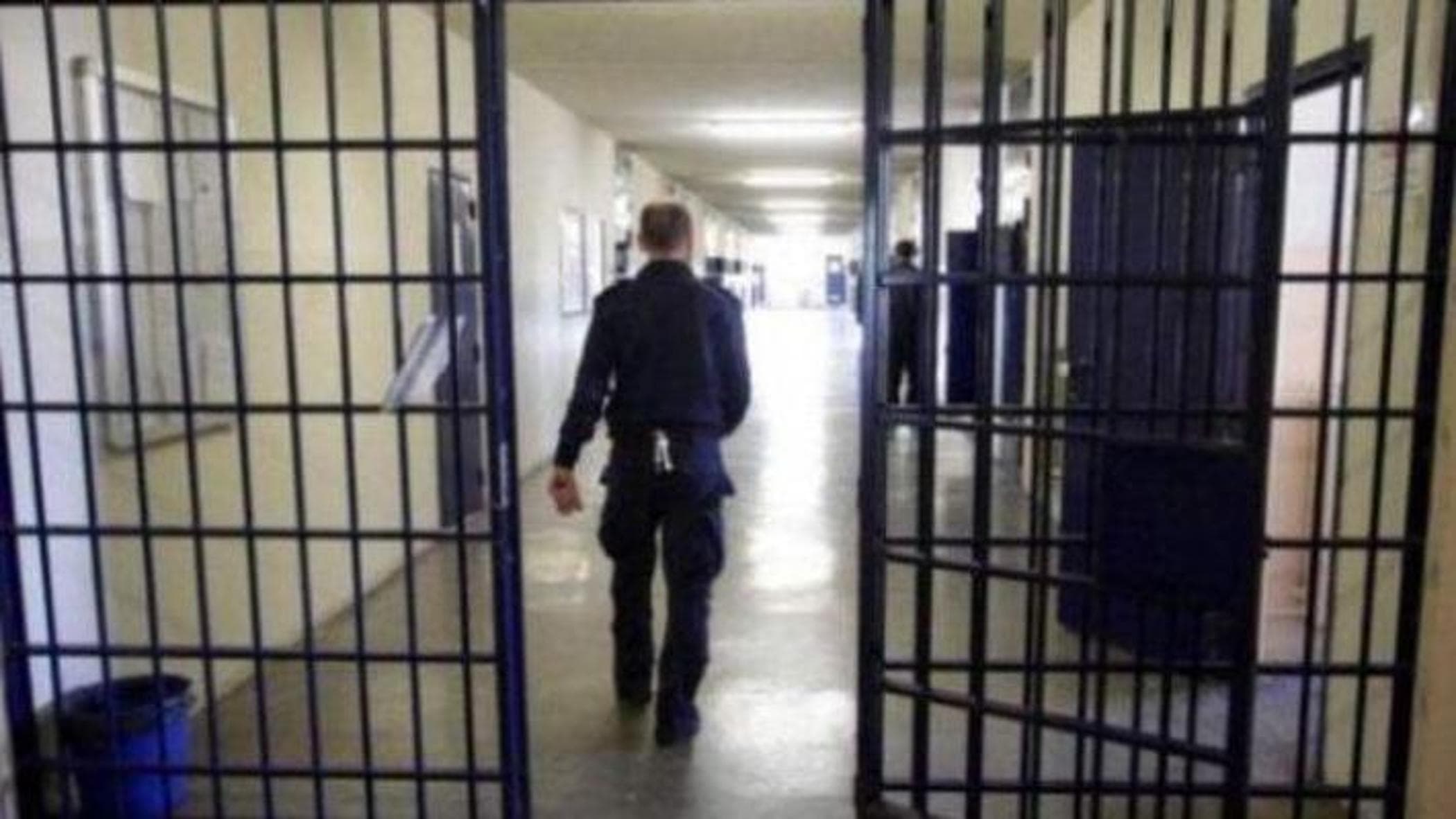 Carceri, “Una zampa tesa”: Terni hapishanesindeki mahkumlar için sosyal yeniden entegrasyon ve mesleki eğitim projesi