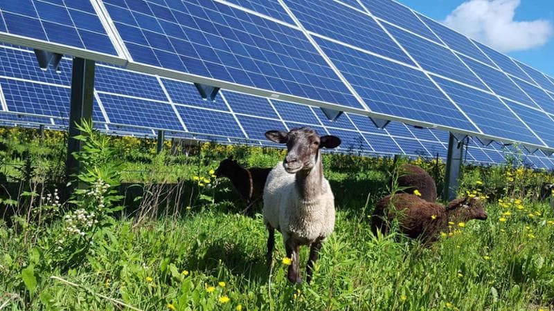 “L’Ue non deve frenare la corsa verso le energie rinnovabili”