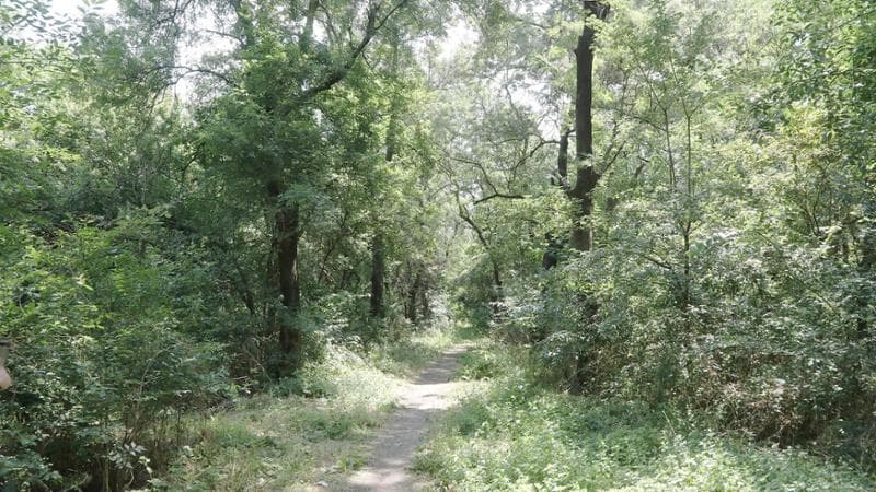 Incidente a Teramo, catena tesa tra due alberi per delimitare una proprietà privata: muore a 25 anni mentre fa motocross