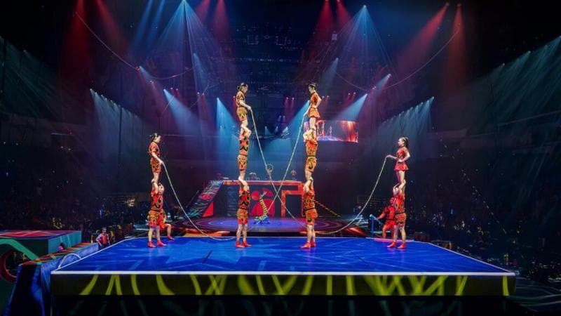 (foto Ringling Bros. and Barnum & Bailey)