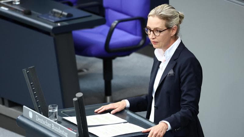 La leader Afd Alice Weidel