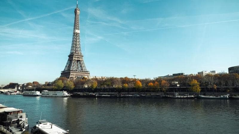 Olimpiadi di Parigi, allarme zanzara tigre. Il governo francese promette più interventi