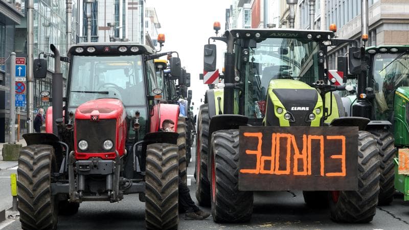 Brexit, l’allarme degli agricoltori britannici: “Vogliamo un reddito universale garantito”