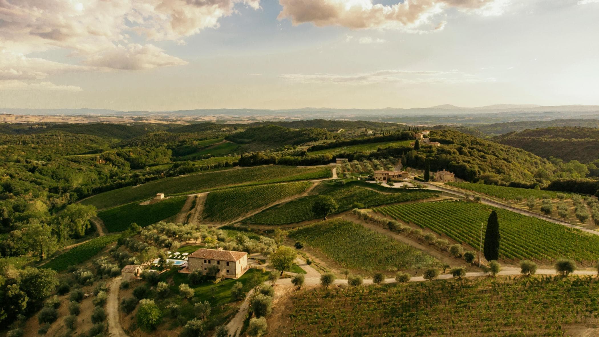 Boschetto Campacci, Ruello 2020 Chianti Classico Riserva'yı sunar