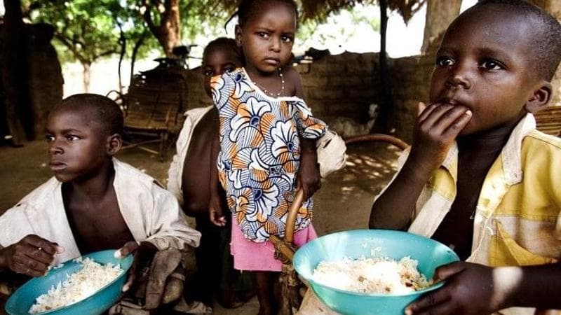 FAO, ecco i 100 alimenti dimenticati per l'Africa, colture sottoutilizzate che forniscono efficaci nutrimenti dietetici a varie comunità