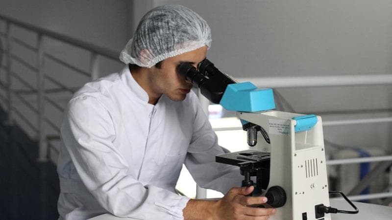 Università, Milano domina i premi europei Erc: due alla Statale e due al San Raffaele. Bocconi prende la borsa numero 61